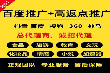 案例分享：SEM广告投放助力电商增长